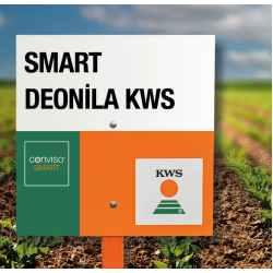 Kws Smart Deonila Akıllı Şeker Pancar Tohumu