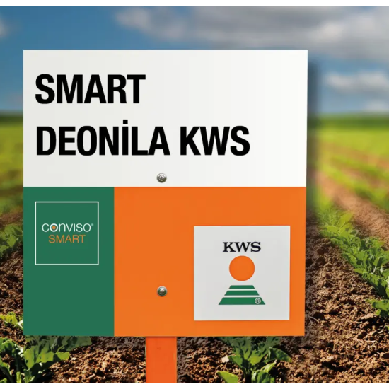 Kws Smart Deonila Akıllı Şeker Pancar Tohumu